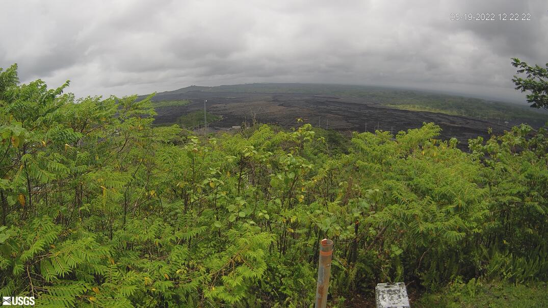 Kīlauea Volcano - East Rift Zone, [PGcam] Lower East Rift Zone Camera from Lower East Rift Zone - Hawaii