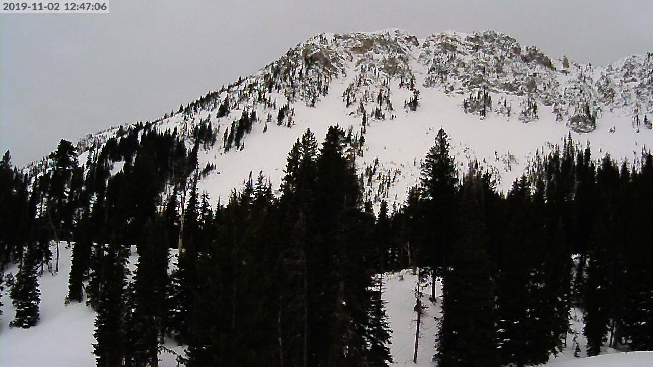 Bridger Bowl Ski Resort, MT  - Mid Mountain & Alpine Area - Apron - Montana