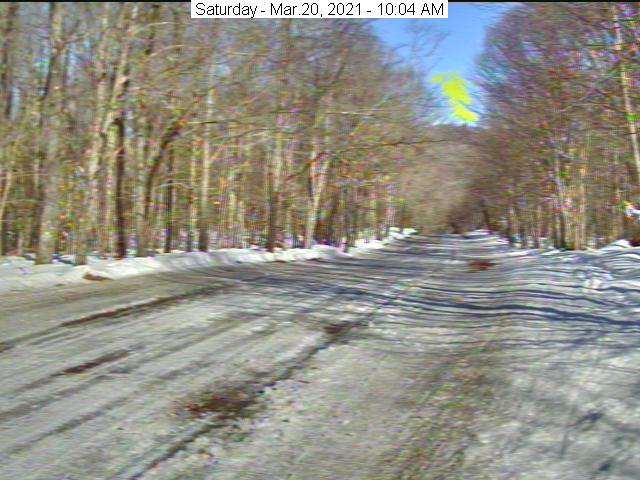 Old Forge - Trail Cam - New York City