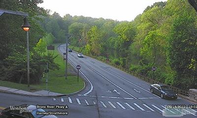 Bronx River Pkwy South BR Pkwy / Harney Rd (13816) - Westchester County - New York City