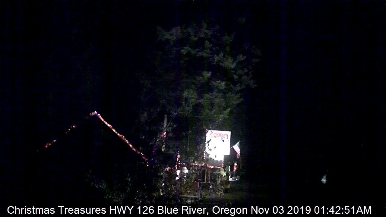 Christmas Treasures in Blue River, Oregon - Oregon