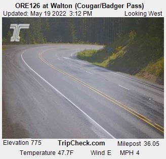 ORE126 at Walton (Cougar/Badger Pass) (843) - Oregon